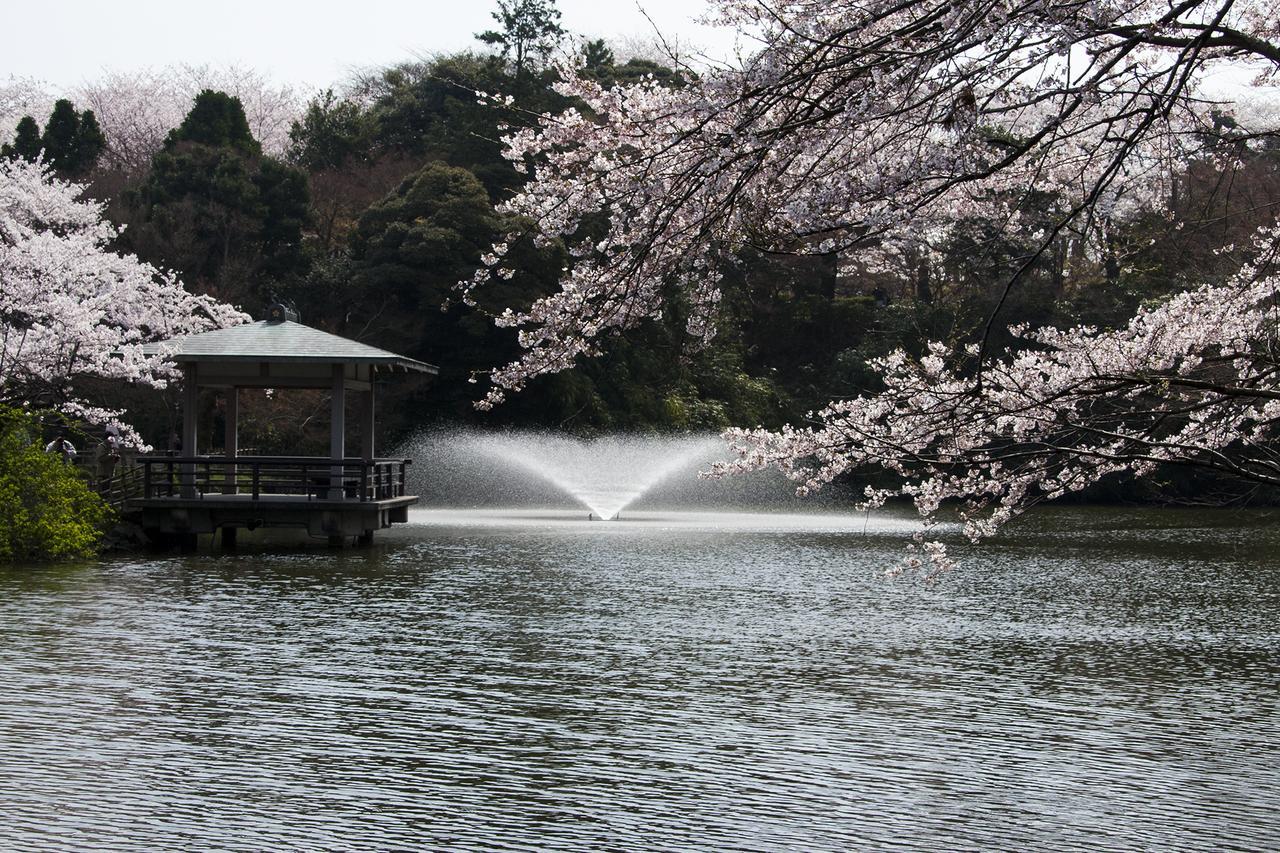 Maidohaya Fukutatei Villa Takaoka Exterior photo